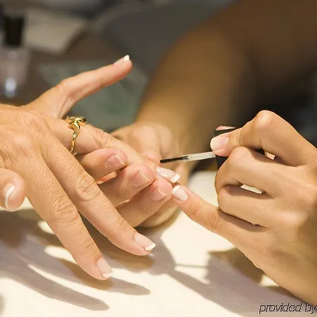 Museum Wellness Hotel 4*