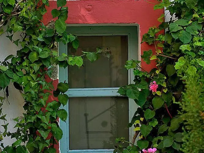 Museum Wellness 4* أويا